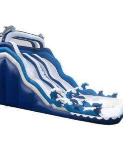 Commercial Grade Dolphin Inflatable Water Slide with Pool