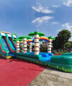 Palm Tree Dual Lane Water Slide
