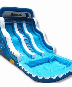 Double Lane Ocean Wavy Inflatable Water Slide with Pool